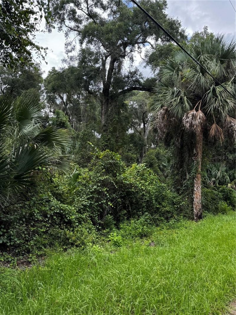 1423 Lemon Street , Deland, FL 32720 Photo
