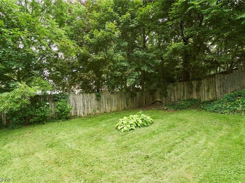 421 Malacca Street, Akron, OH 44305 Photo 16