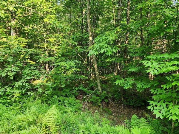 N6038 GRUENING LANE, Tomahawk, WI 54487