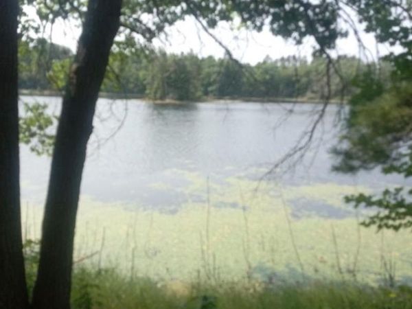 1505 SWALLOW LANE, Lac Du Flambeau, WI 54538