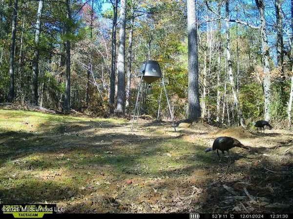 Seymour Rd S Seymour Road, Kilmichael, MS 39747
