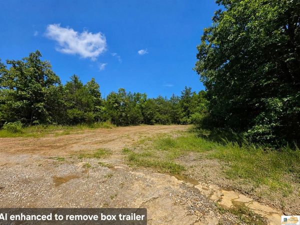 Lot A Reese Hurt Road , Edmonton, KY 42129