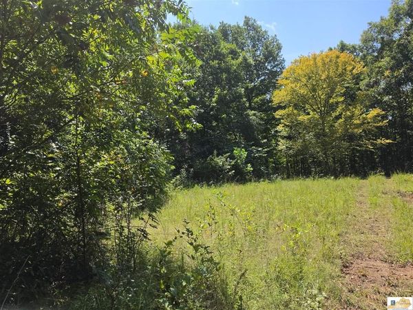 Lot B Reese Hurt Road , Edmonton, KY 42129