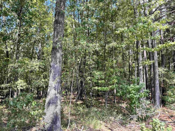 1209 Pine Drive , Haskell, AR 72015