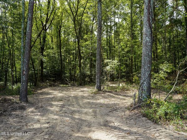Johns Shiloh Road, Brandon, MS 39042