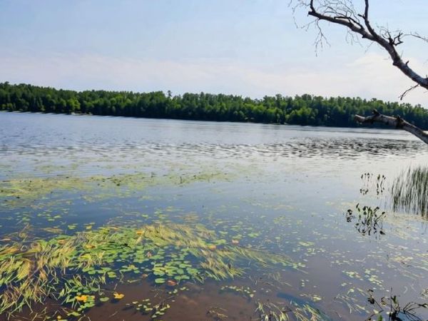 On W AMBER LAKE ROAD, Unit Lot 1, Lac Du Flambeau, WI 54538