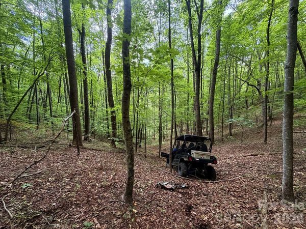 7777 Saw Branch Road , Candler, NC 28715