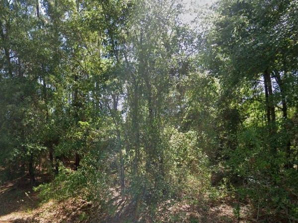lot 84 SE 99TH AVENUE, BELLEVIEW, FL 34420