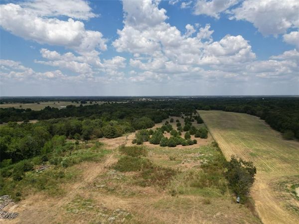 50 acres County Road 1026 , Celeste, TX 75423
