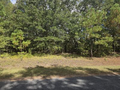 0 Prospect Street, Bowman, SC 29018