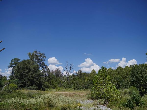 3324 Hilldale Road , Alexander, AR 72002