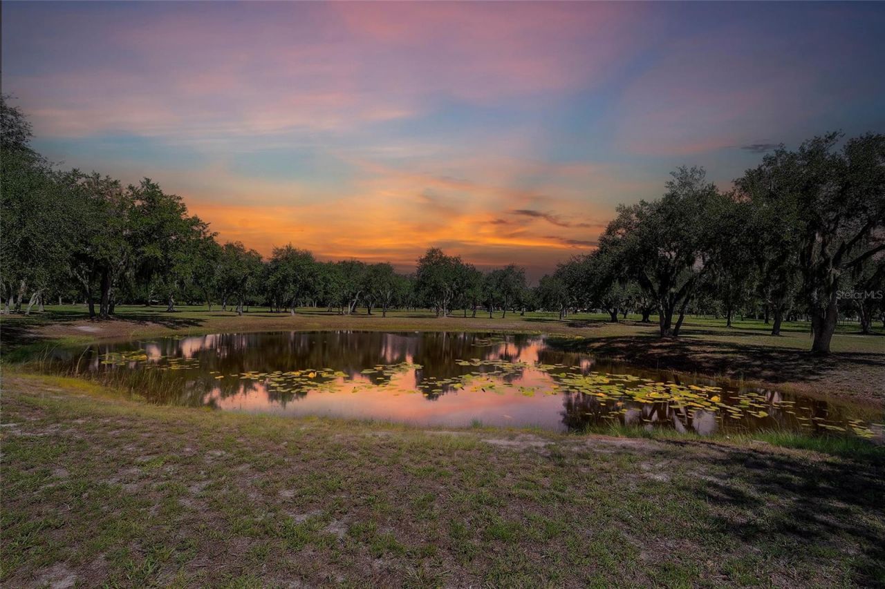 6200 Verna Road, Myakka City, FL 34251 Photo