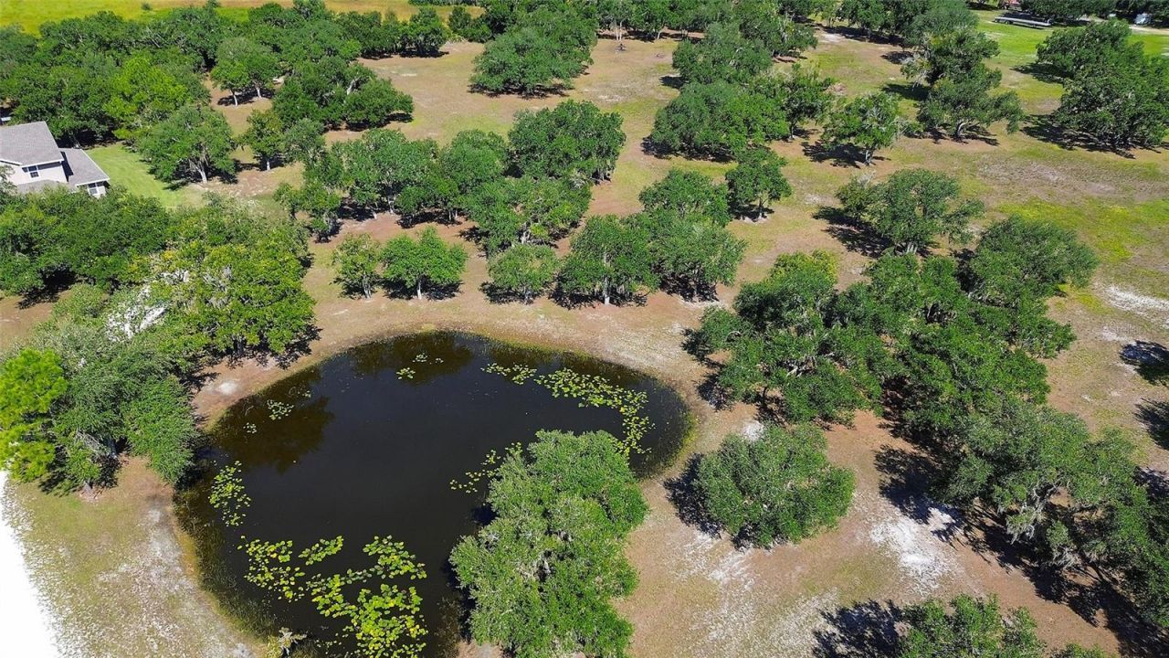 6200 Verna Road, Myakka City, FL 34251 Photo