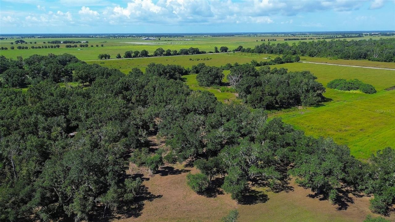 6200 Verna Road, Myakka City, FL 34251 Photo