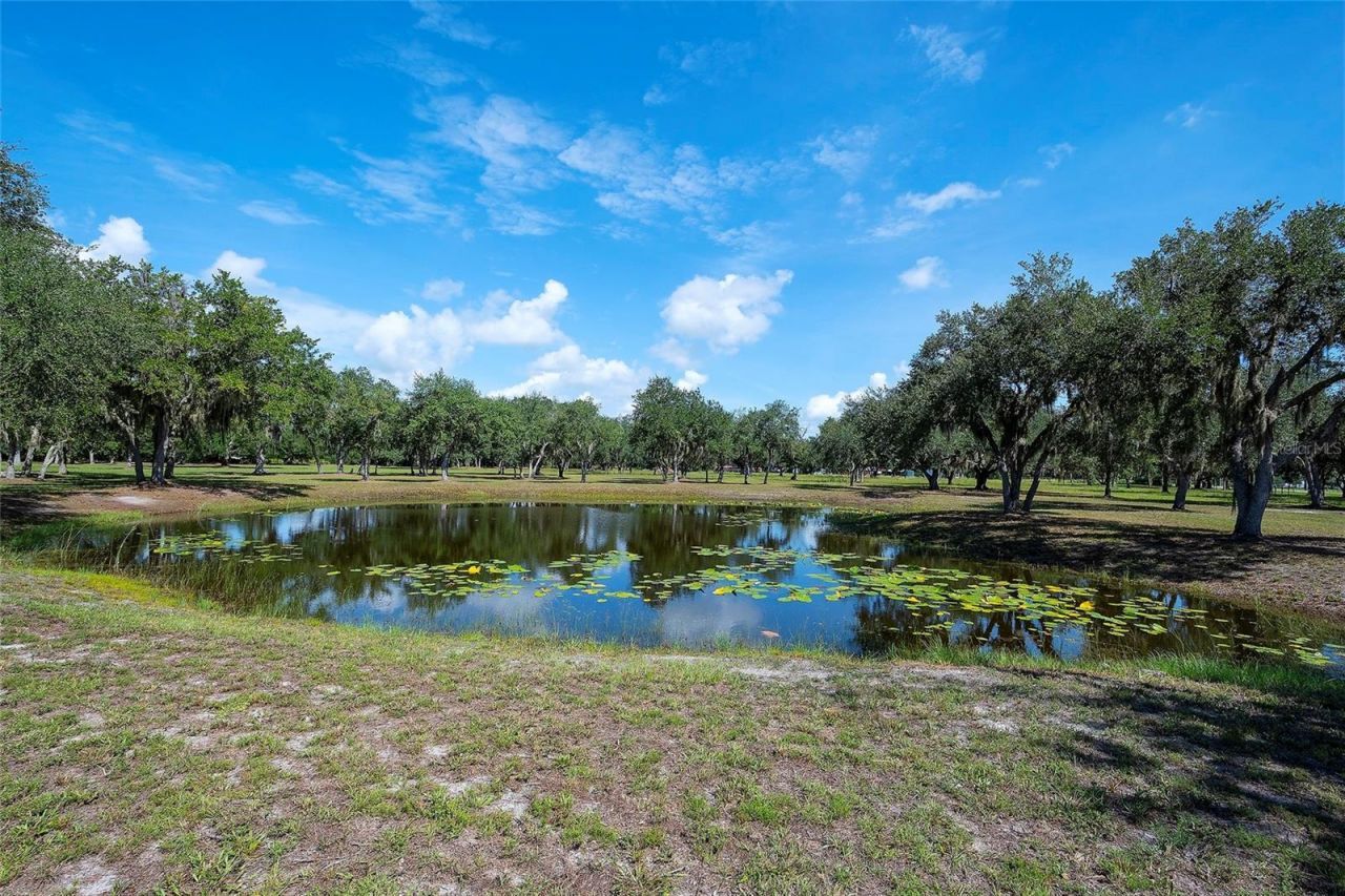 6200 Verna Road, Myakka City, FL 34251 Photo
