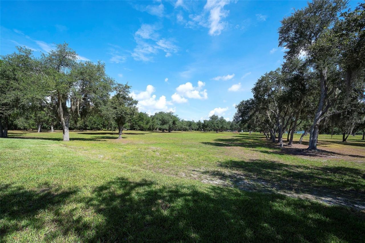 6200 Verna Road, Myakka City, FL 34251 Photo