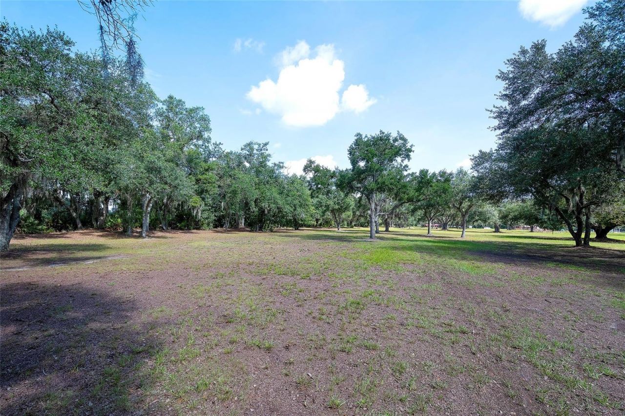 6200 Verna Road, Myakka City, FL 34251 Photo