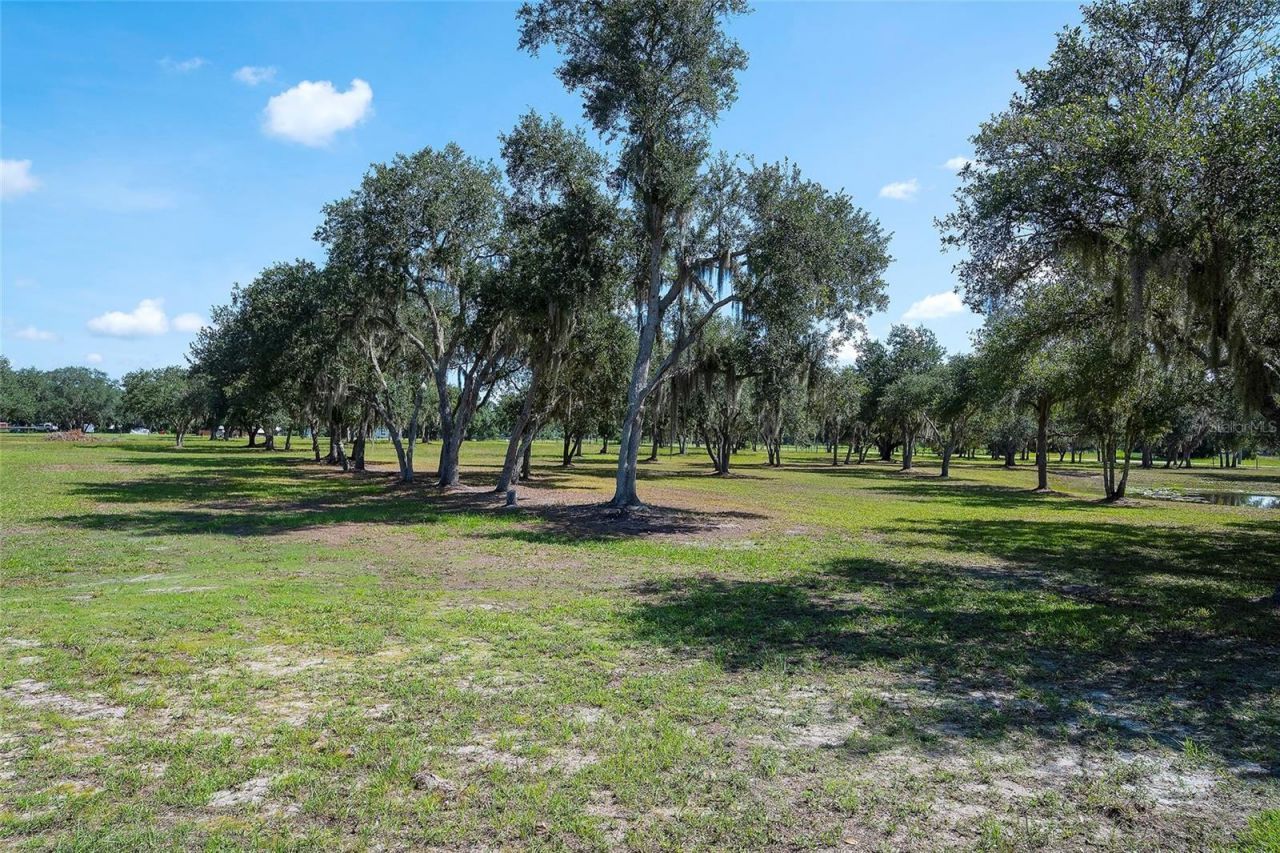 6200 Verna Road, Myakka City, FL 34251 Photo