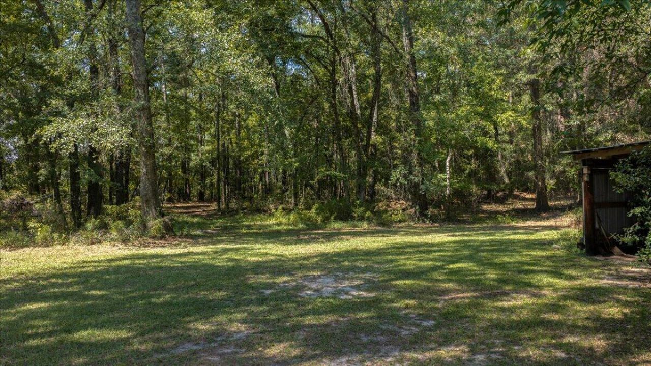127 Dickinson Street Photo 89