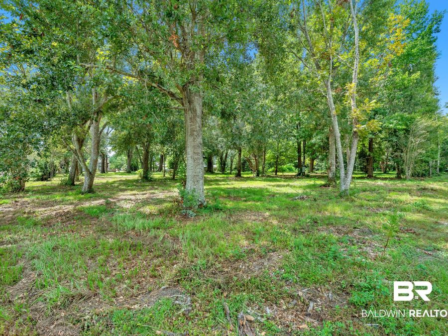 Property Image 52
