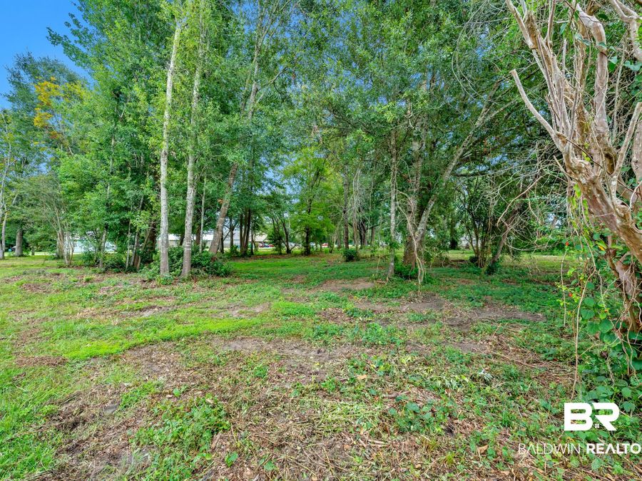 Property Image 54
