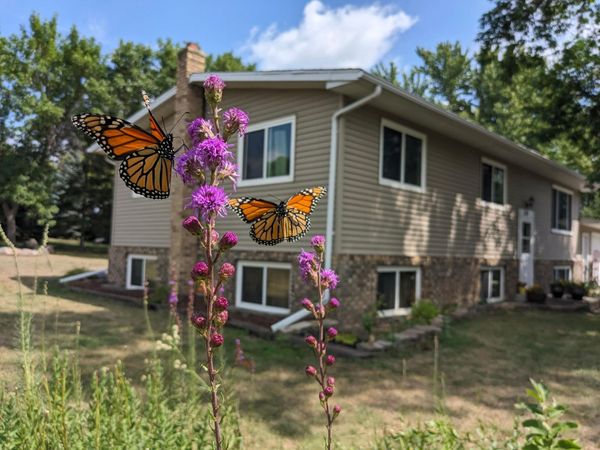 519 1st Avenue SE, Rothsay, MN 56579