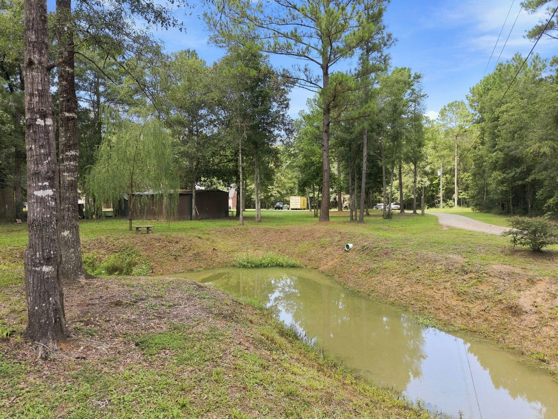 725 Yellow Brick Road Photo 12