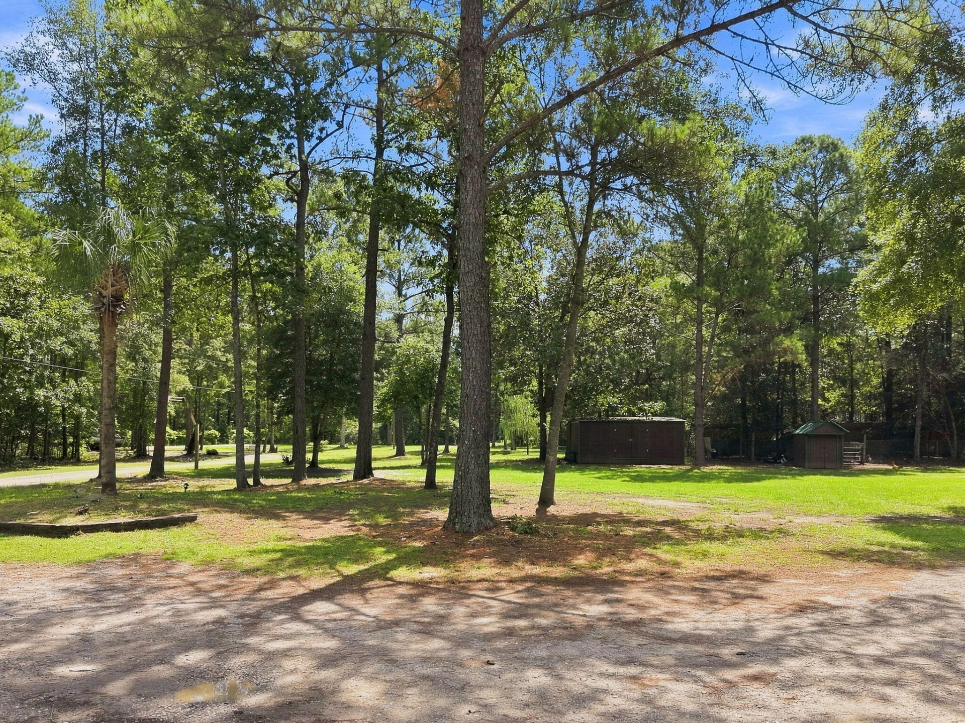 725 Yellow Brick Road Photo 15