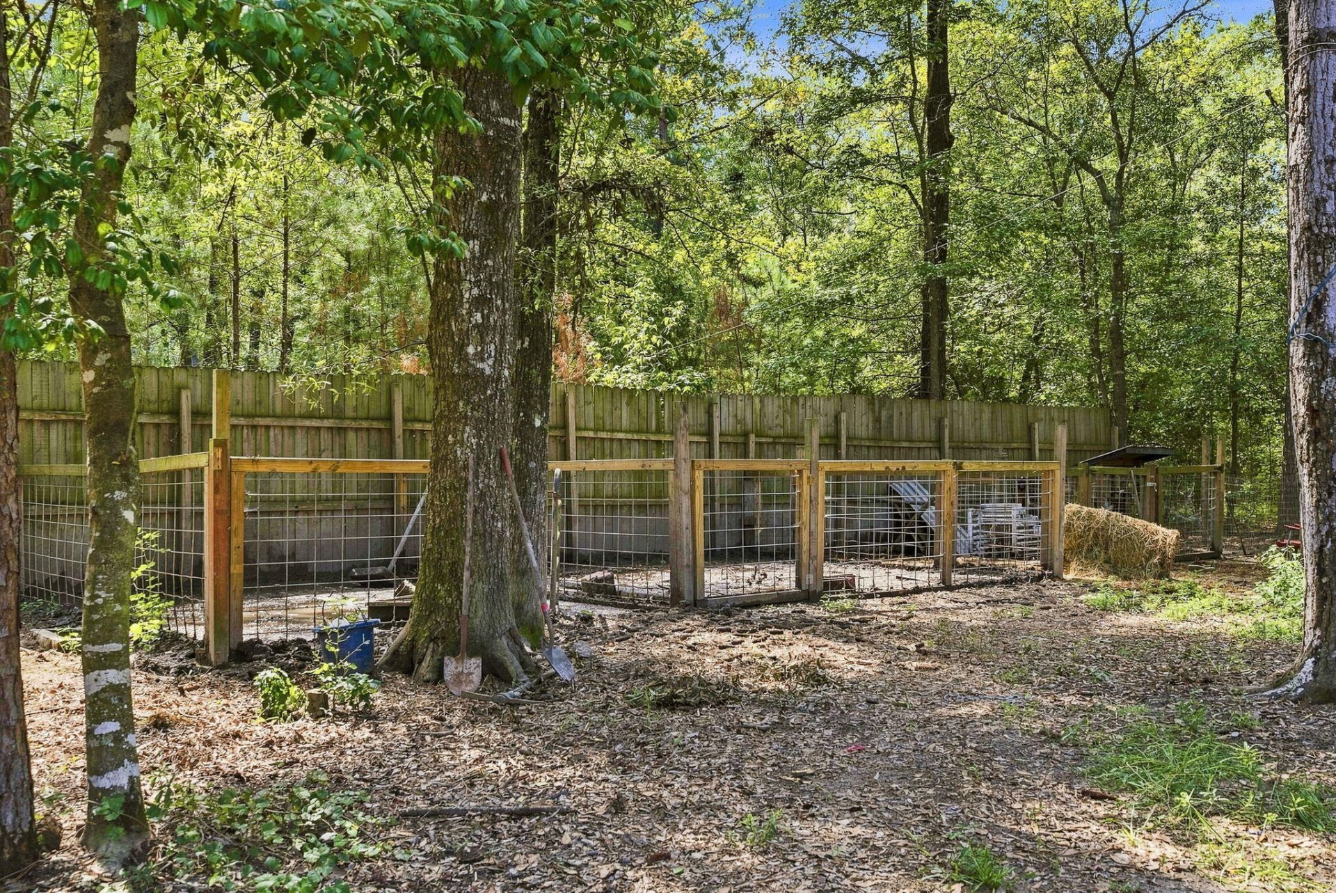 725 Yellow Brick Road Photo 16