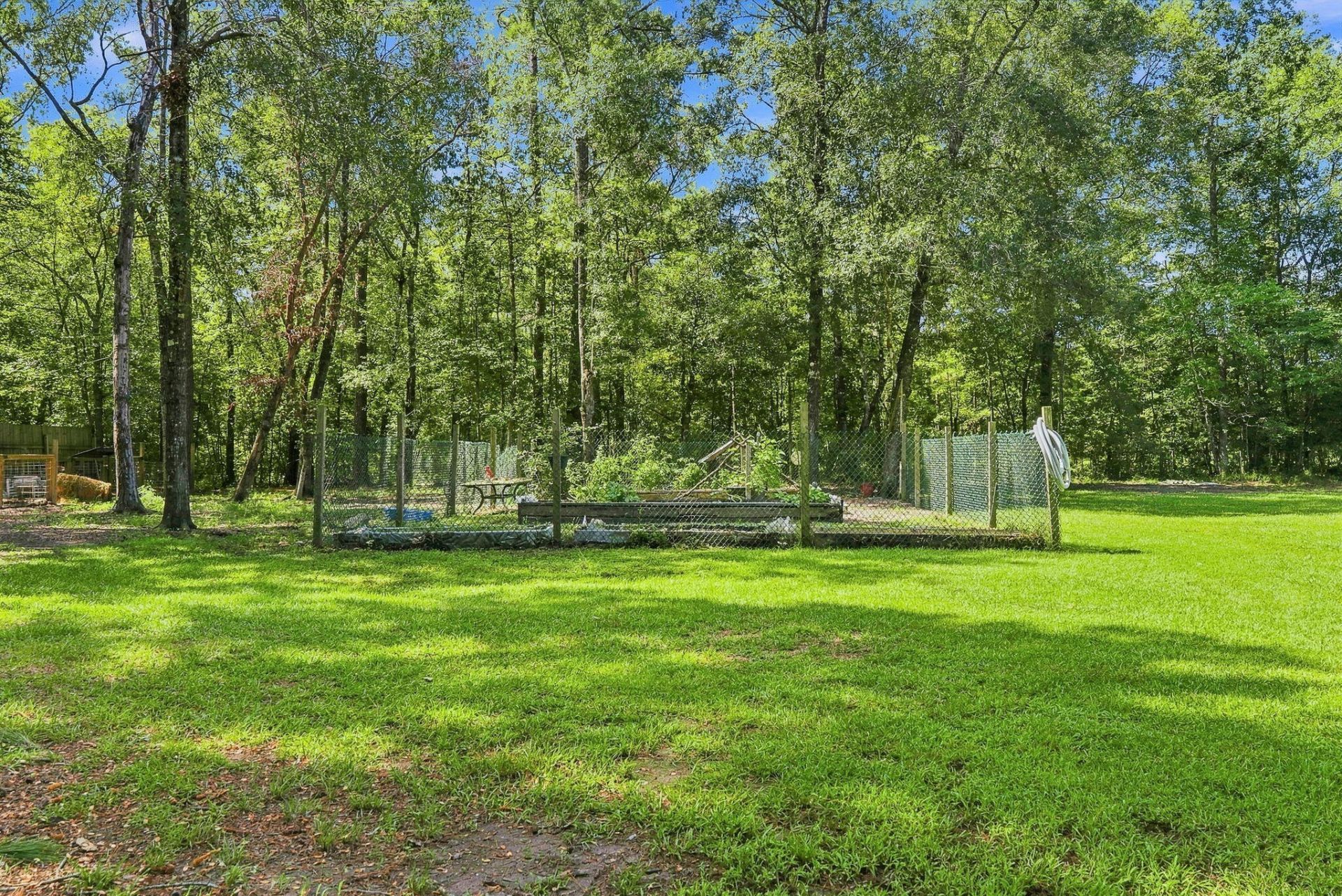 725 Yellow Brick Road Photo 17