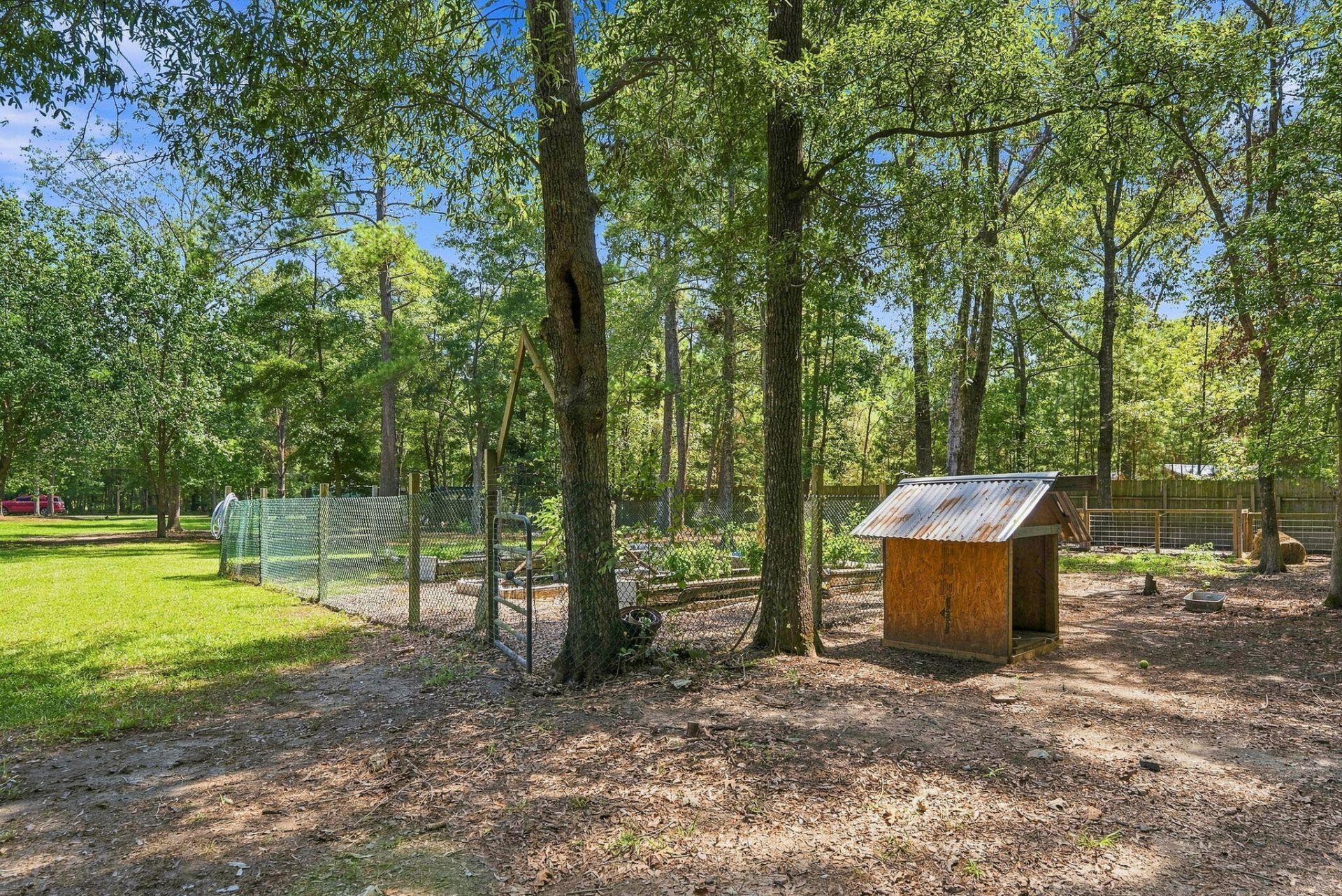 725 Yellow Brick Road Photo 19