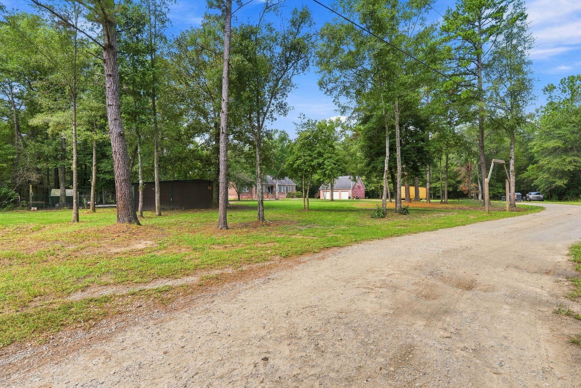 725 Yellow Brick Road Photo 5
