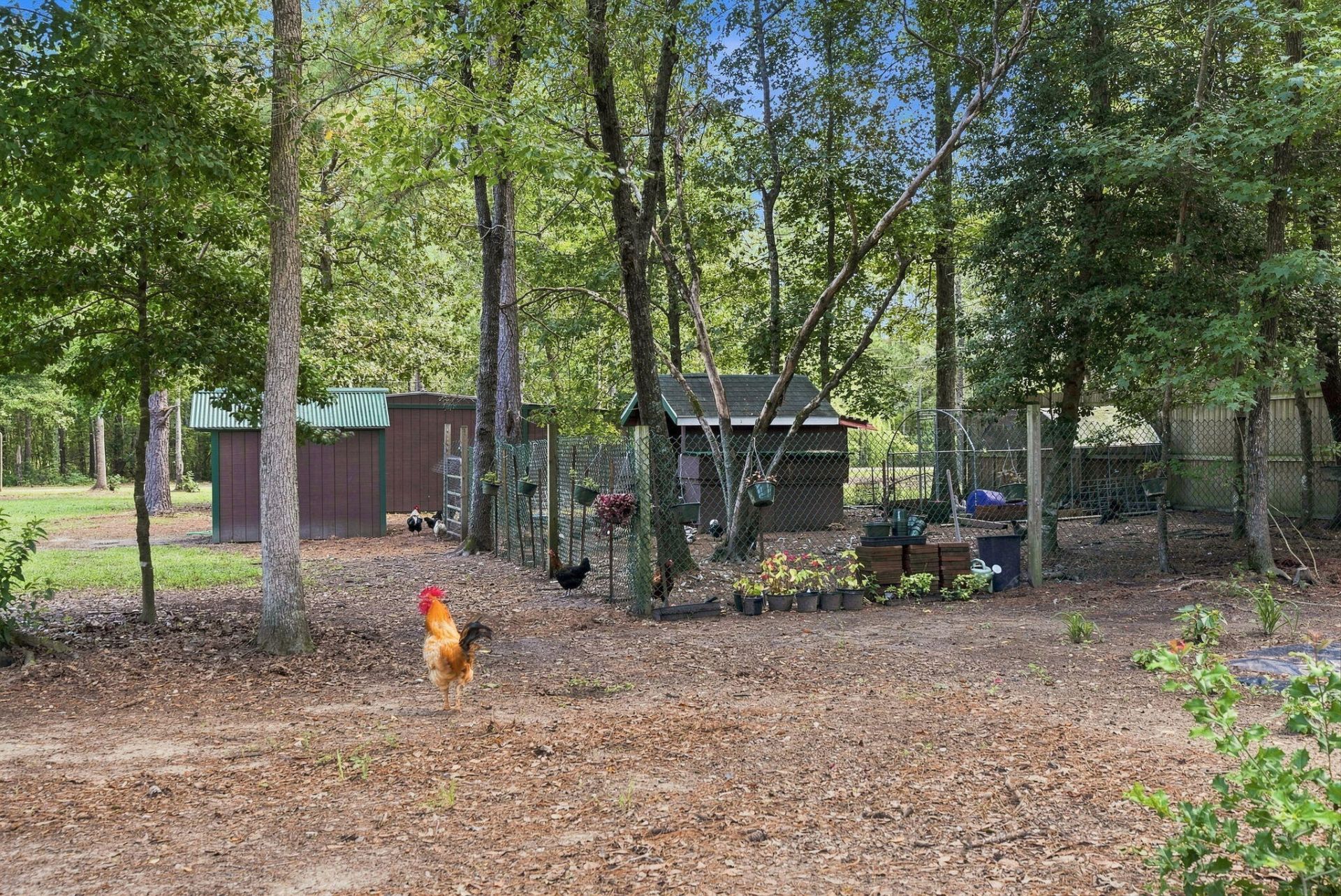 725 Yellow Brick Road Photo 8