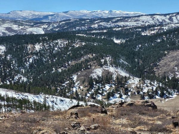 1390 Walking Wind Dr, Bellvue, CO 80512