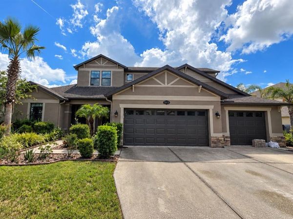 10619 MISTFLOWER LANE , TAMPA, FL 33647