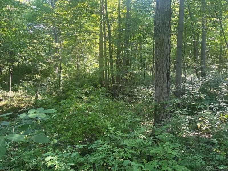 10331 Upper Alexander Road, New Paris, OH 45347 Photo 33