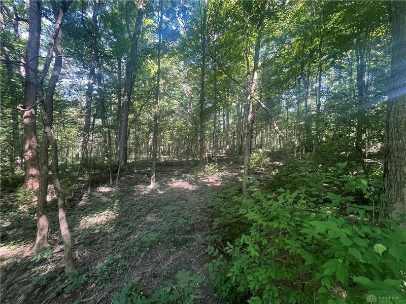 10331 Upper Alexander Road, New Paris, OH 45347 Photo 34