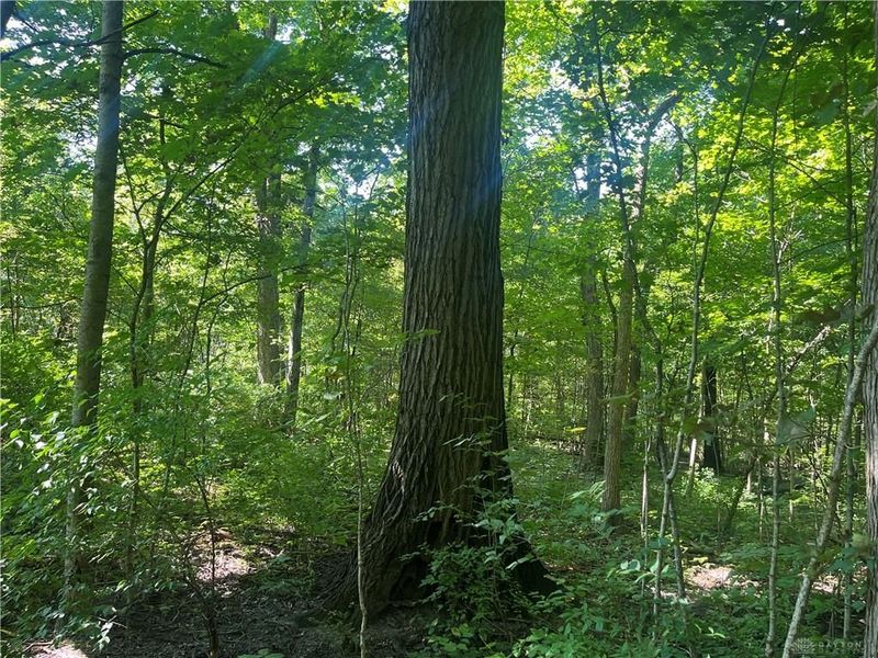 10331 Upper Alexander Road, New Paris, OH 45347 Photo 35