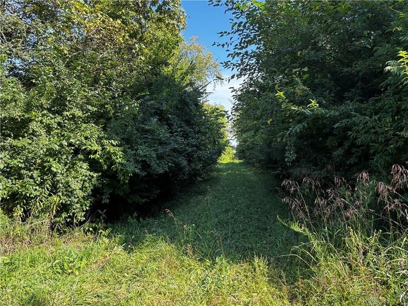 10331 Upper Alexander Road, New Paris, OH 45347 Photo 36