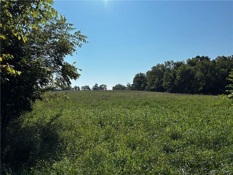 10331 Upper Alexander Road, New Paris, OH 45347 Photo 37