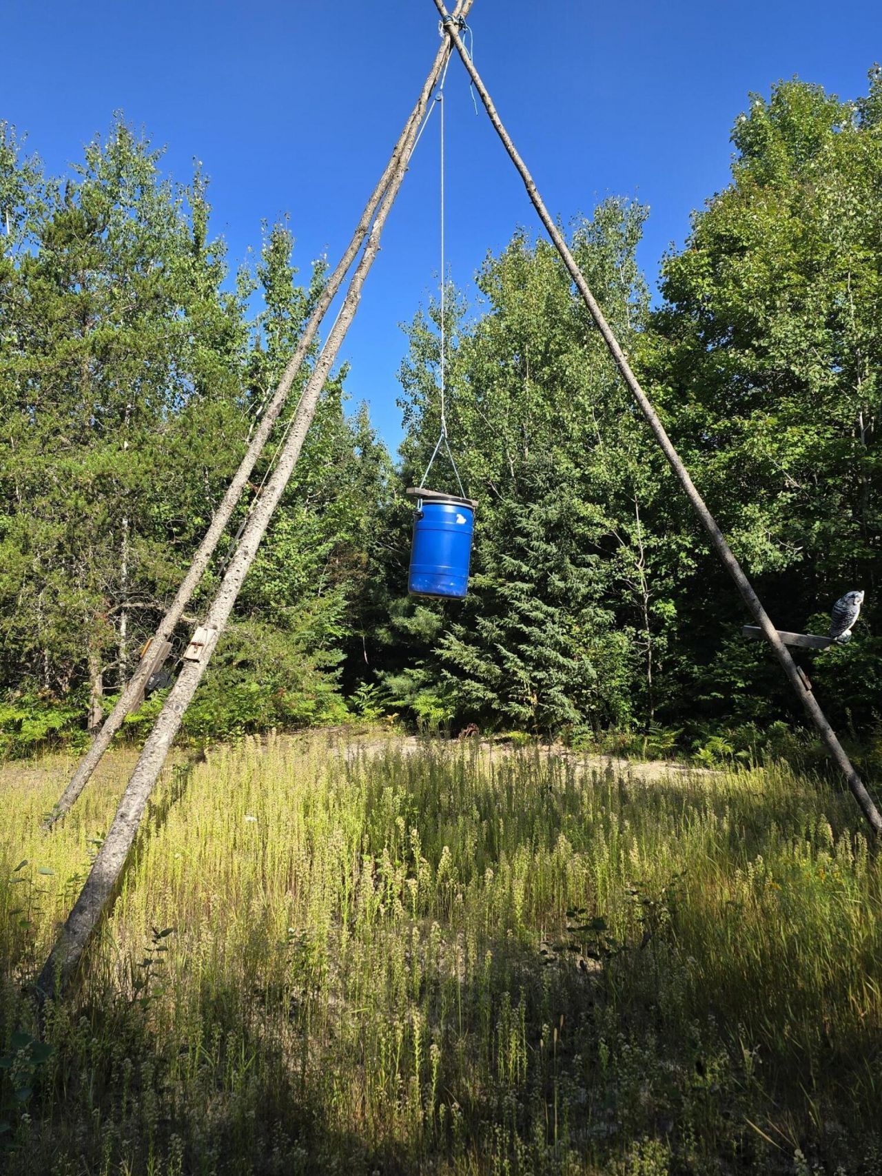 Lot 3 & 4 Huckleberry Road, Trout Lake, MI 49793 Main Photo