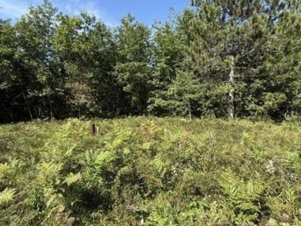 V/L 5 AC Timber Trail Court, Lewiston, MI 49756