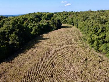 0000 New Lakton Road, Bardwell, KY 42023