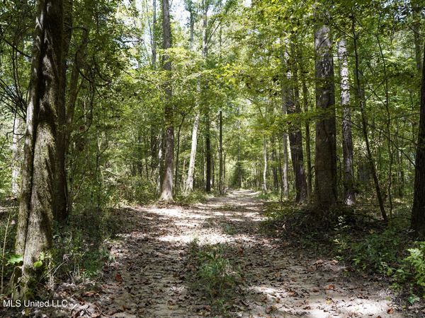 Mcintyre Road, Brandon, MS 39042