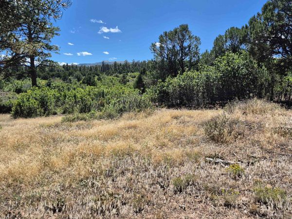 1620 Wildcat Canyon Road , Montrose, CO 81403
