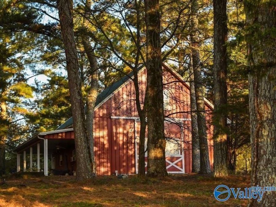 Property Image 5