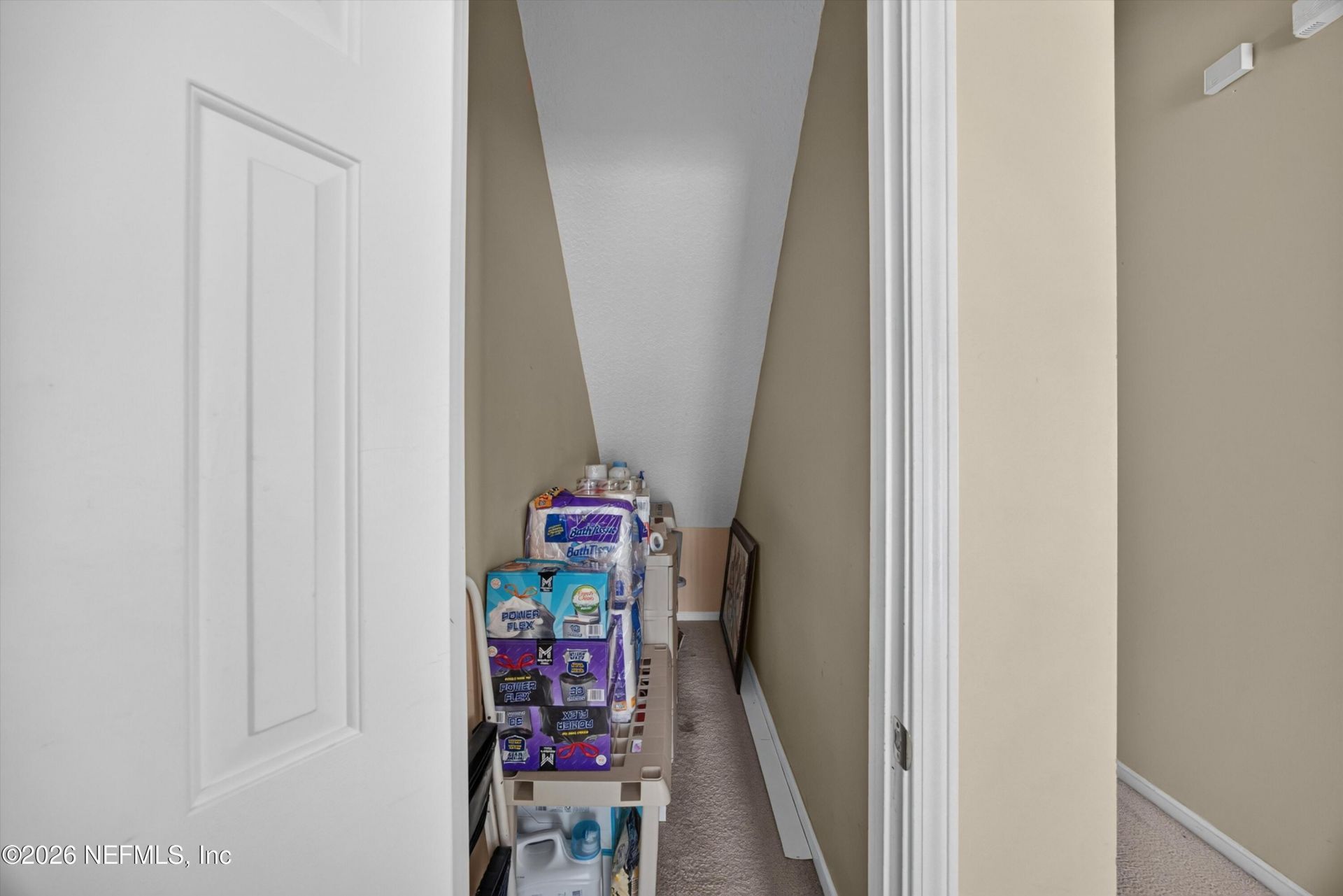 2875 Pebblewood Lane, Orange Park, FL 32065 Photo