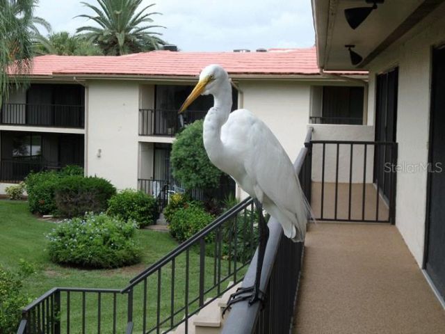 6462 Wild Oak Bay Boulevard , Unit 244, Bradenton, FL 34210 Photo
