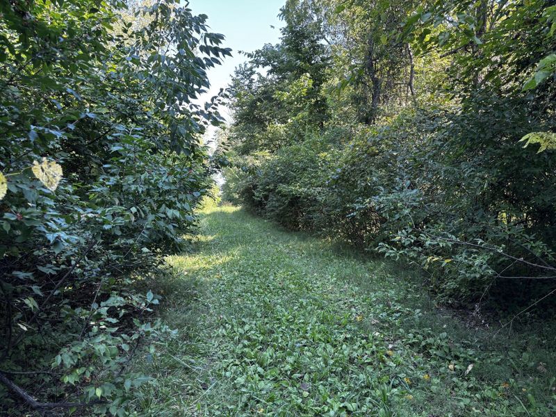 10331 Upper Alexander Road, New Paris, OH 45347 Photo 35