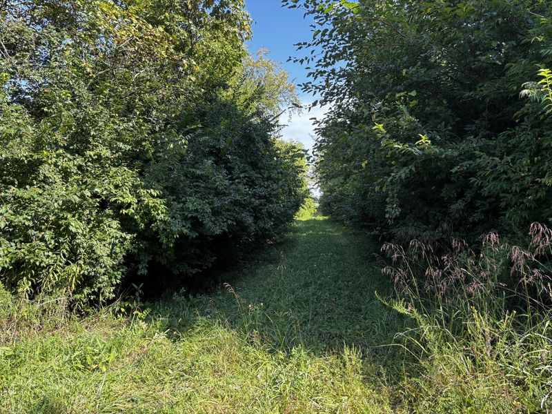 10331 Upper Alexander Road, New Paris, OH 45347 Photo 40